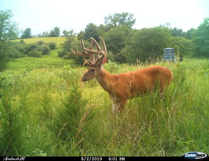 Land in Atchison County, Missouri