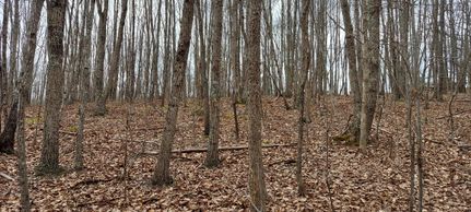 Land for sale in Pittsylvania County, Virginia