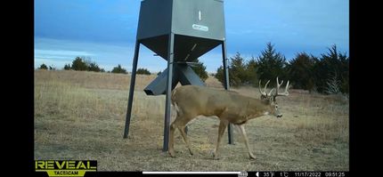 Undeveloped Land in Ottawa County, Kansas