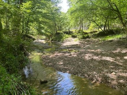 Land in Claiborne County, Mississippi