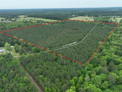 Timberland Property in Cass County, Texas