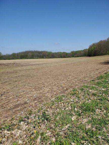 Timberland Property in Peoria County, Illinois