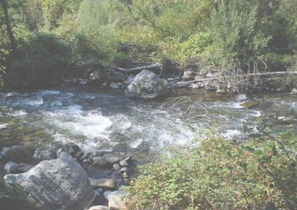 Waterfront Property in Plumas County, California