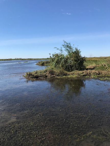 Recreational Property in Plaquemines Parish, Louisiana