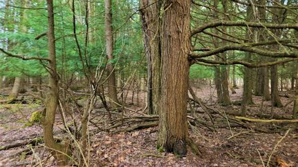 Land in Cheboygan County, Michigan