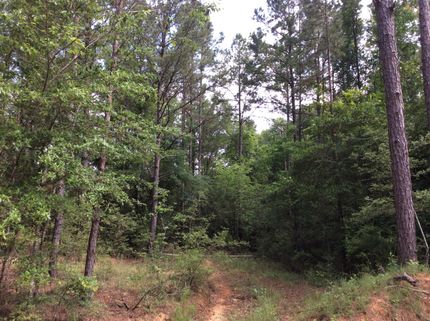 Farm and Ranch in Covington County, Alabama