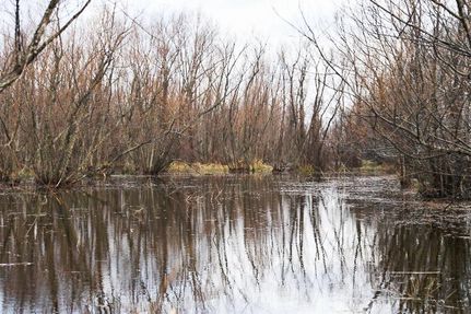 Recreational Property in Desha County, Arkansas