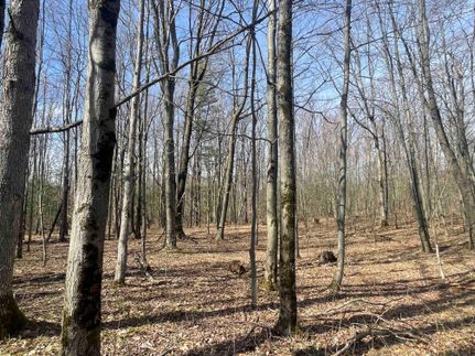 Land in Livingston County, New York