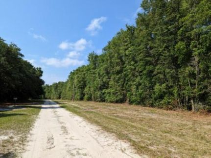 Recreational Property in Suwannee County, Florida