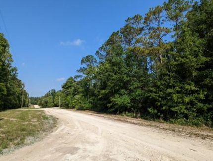Riverfront Property in Suwannee County, Florida