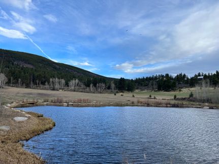 Timberland Property in Chaffee County, Colorado