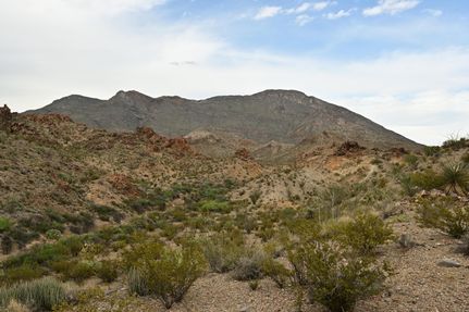 Farm and Ranch in Brewster County, Texas
