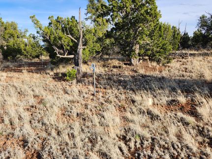 Land in Catron County, New Mexico