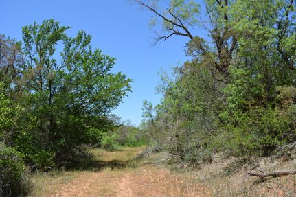 Hunting Property in Coke County, Texas