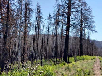 Commercial Property in Costilla County, Colorado