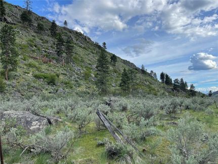 Land for sale in Okanogan County, Washington