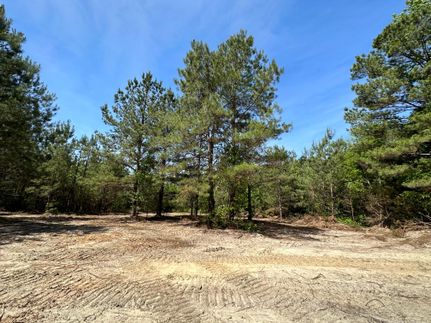 Recreational Property in Crenshaw County, Alabama