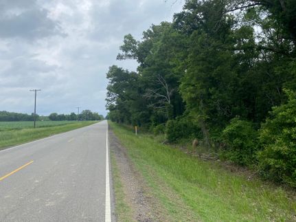 Timberland Property in West Carroll Parish, Louisiana