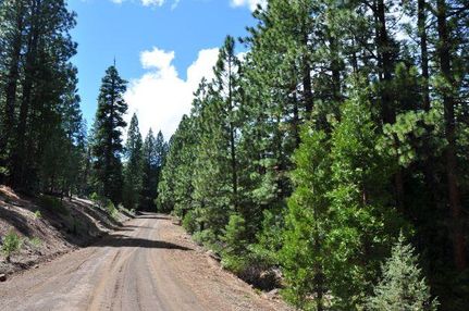 Undeveloped Land in Modoc County, California