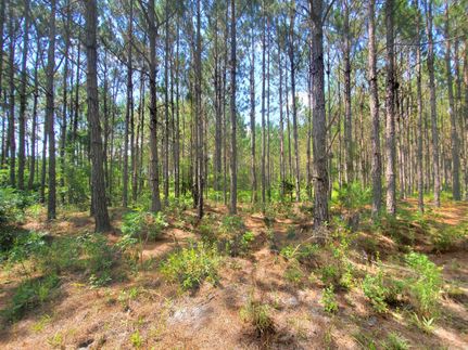 Land in Madison County, Florida