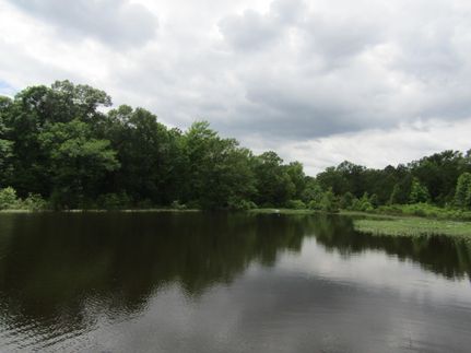 Farm and Ranch in Panola County, Texas