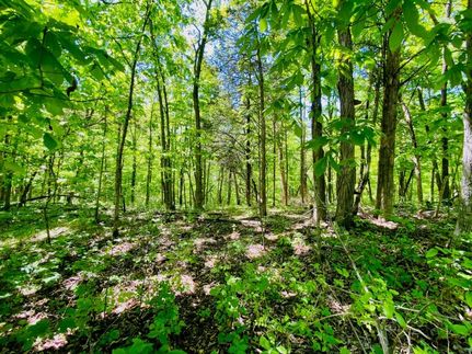 Land in Washington County, Kentucky