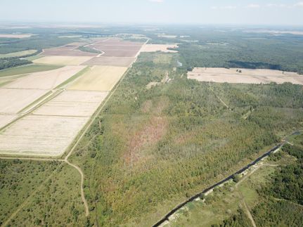 Farm and Ranch in West Carroll Parish, Louisiana