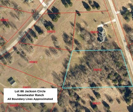 Undeveloped Land in Navarro County, Texas