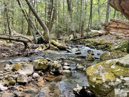 Undeveloped Land in Columbia County, Pennsylvania