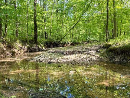 Farm and Ranch in Benton County, Tennessee