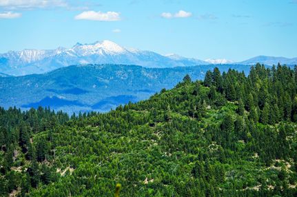 Farm and Ranch in Boise County, Idaho