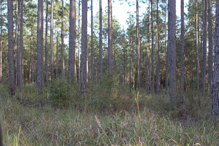 Farm and Ranch in Mobile County, Alabama