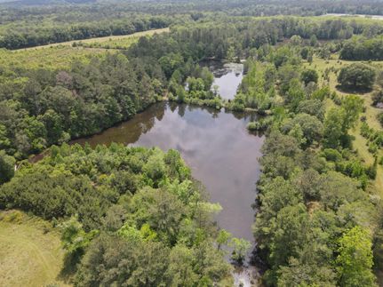 Undeveloped Land in Coffee County, Alabama