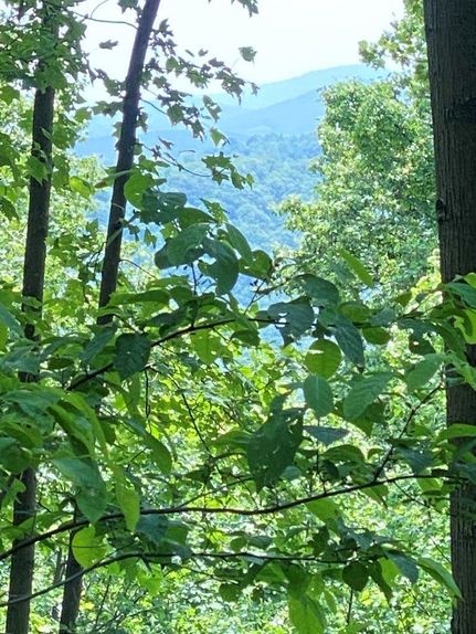 Recreational Property in Franklin County, Virginia