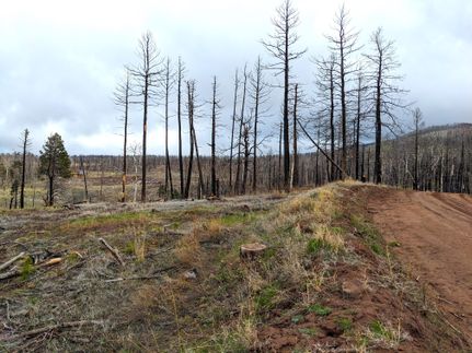 Undeveloped Land in Costilla County, Colorado