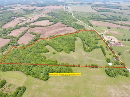Timberland Property in Monroe County, Missouri