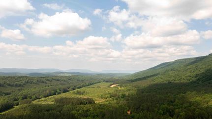 Farm and Ranch in DeKalb County, Alabama