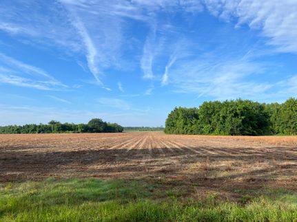 Farm and Ranch in Hampton County, South Carolina