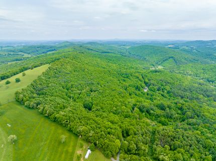 Undeveloped Land in Carroll County, Virginia