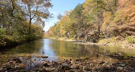 Timberland Property in Searcy County, Arkansas