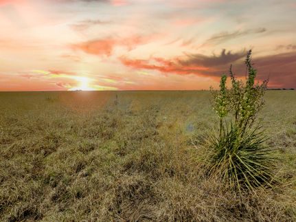 Farm and Ranch in Hockley County, Texas