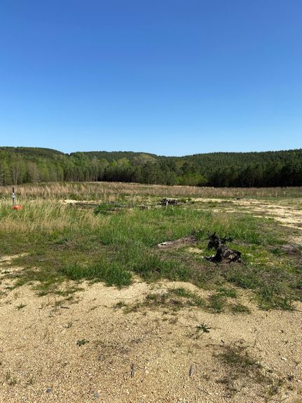 Timberland Property in Chattooga County, Georgia