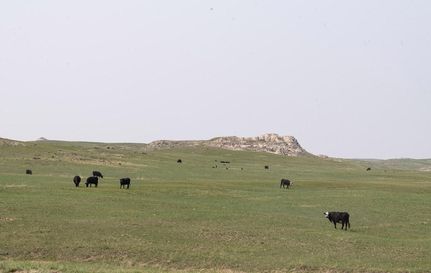 Farm and Ranch in Goshen County, Wyoming