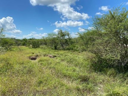 Hunting Property in Duval County, Texas