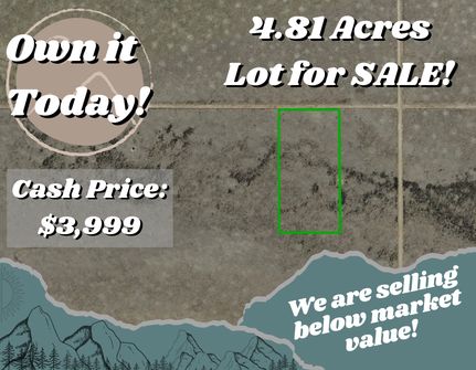 Timberland Property in Costilla County, Colorado