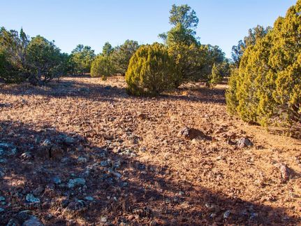 Recreational Property in Apache County, Arizona