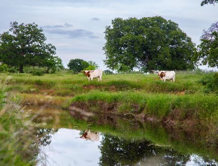 Farm and Ranch in Comanche County, Texas