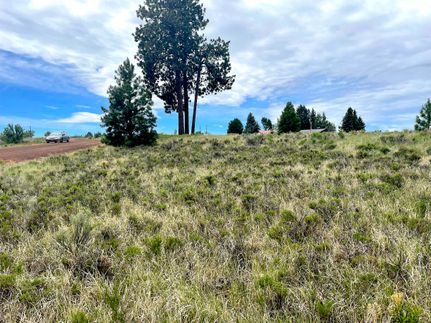 Undeveloped Land in Klamath County, Oregon