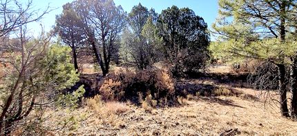 Farm and Ranch in Otero County, New Mexico