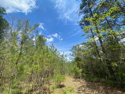 Farm and Ranch in Washington County, Alabama